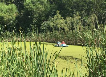 Photo of lake with greenery and two people off in the distance paddle-boating.