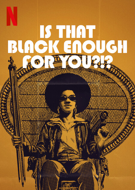 "Is That Black Enough For You" Screening @ Underground Railroad Freedom Center
